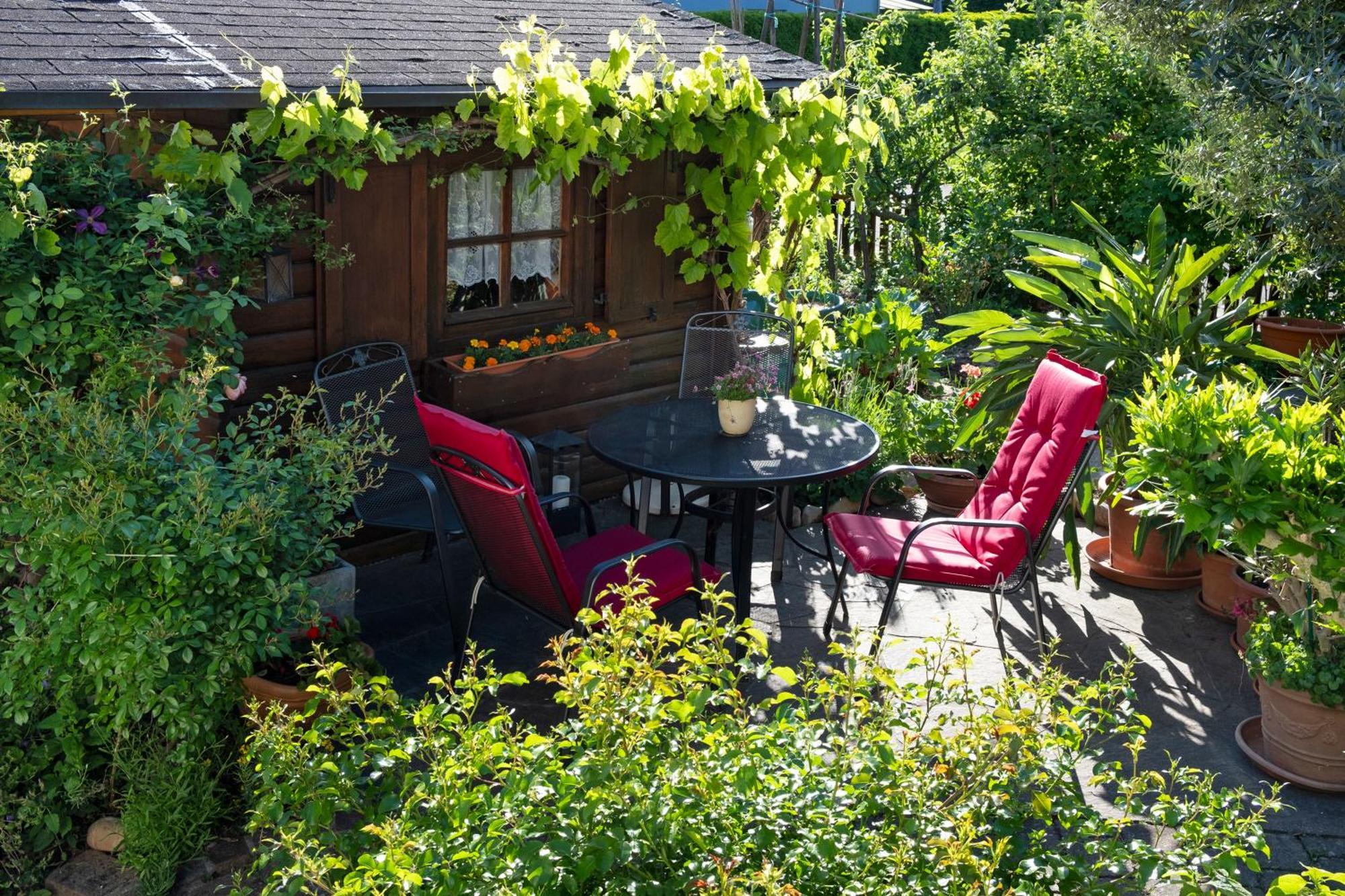 Ferienwohnung Burger Засбах Экстерьер фото